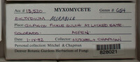 Image Associated With the Occurence
